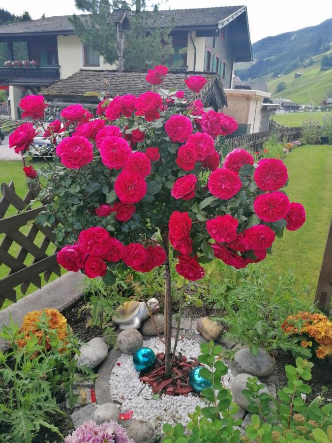 St. Christoph Homestay *