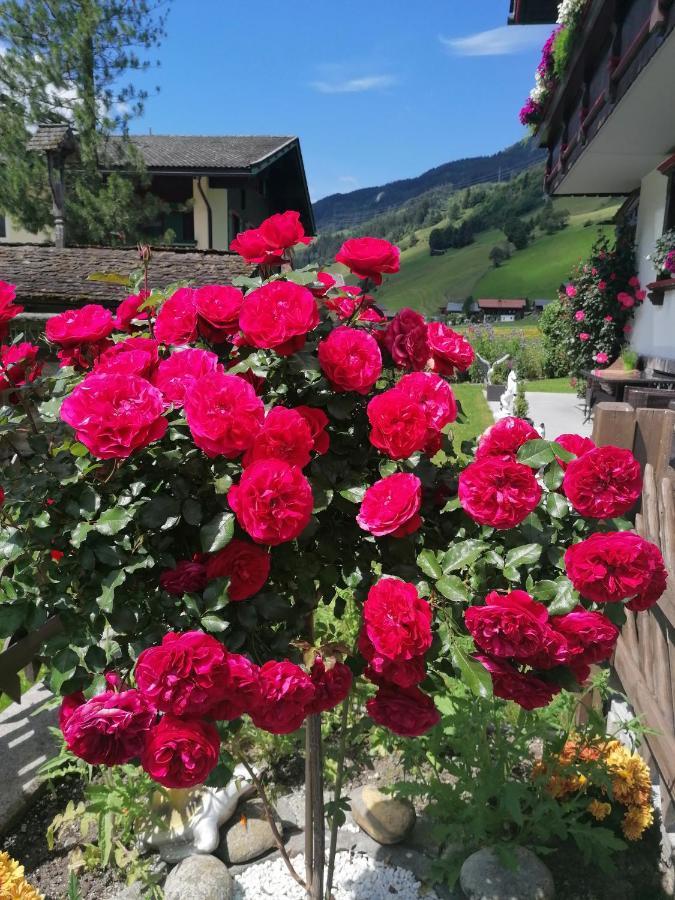 St. Christoph Homestay *